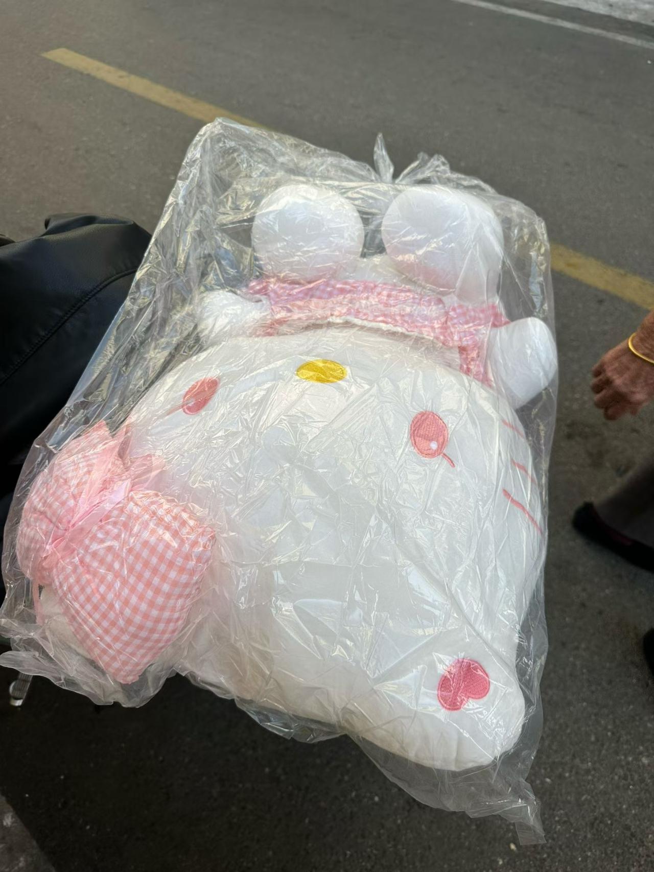 hello Kitty 玩偶